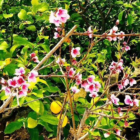 Philoxenia Casa vacanze *